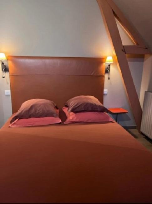La Demeure De L'Ile Bed and Breakfast Craon  Εξωτερικό φωτογραφία